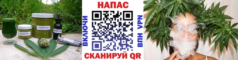 Canna-Cookies марихуана Гаврилов-Ям